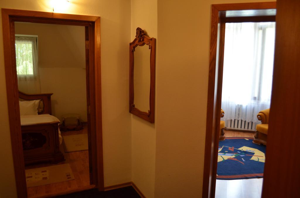Vila Rica Otel Slănic-Moldova Oda fotoğraf