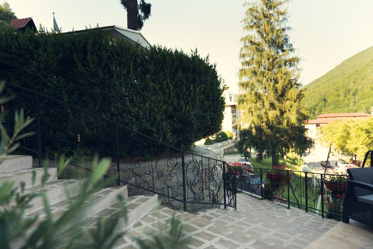 Vila Rica Otel Slănic-Moldova Dış mekan fotoğraf